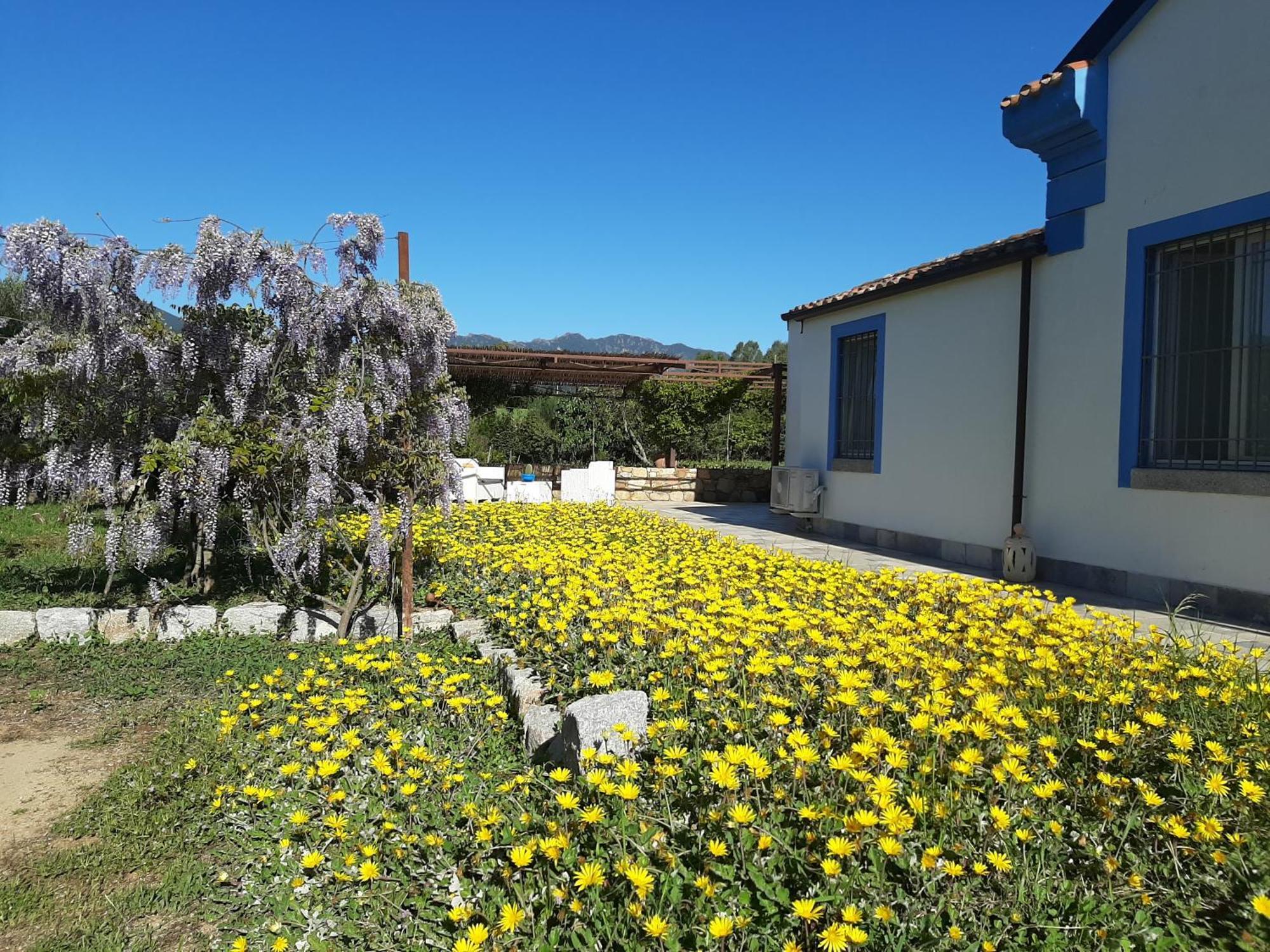 Bed and Breakfast Casale Diletta Castiadas Exterior foto