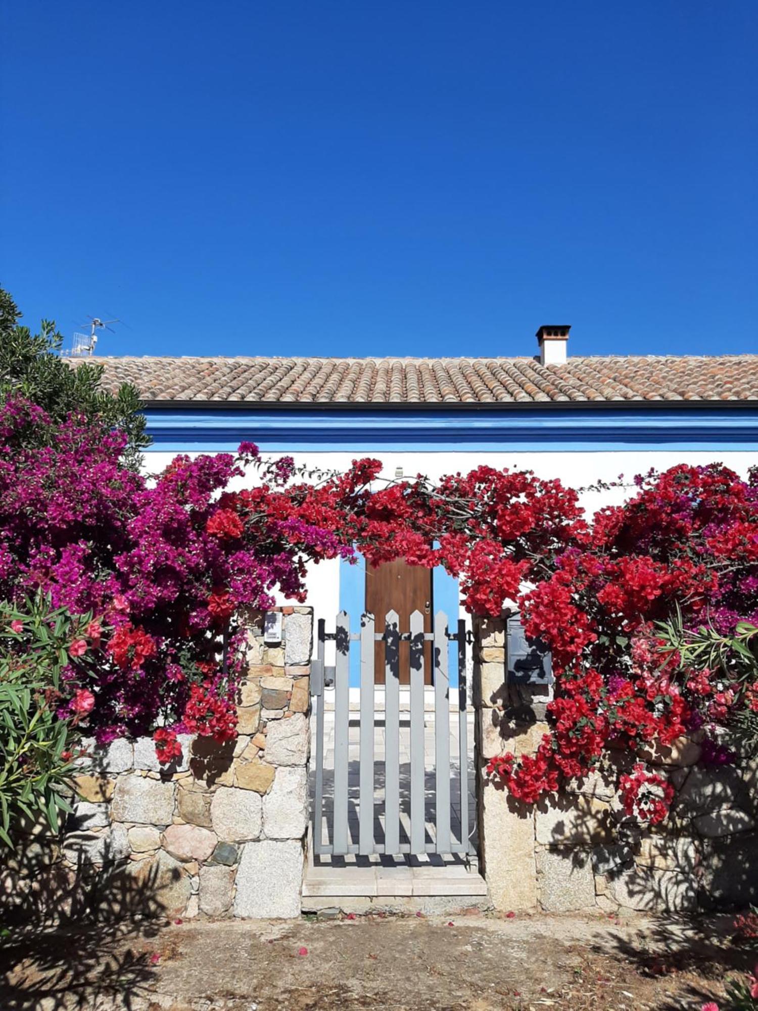 Bed and Breakfast Casale Diletta Castiadas Exterior foto