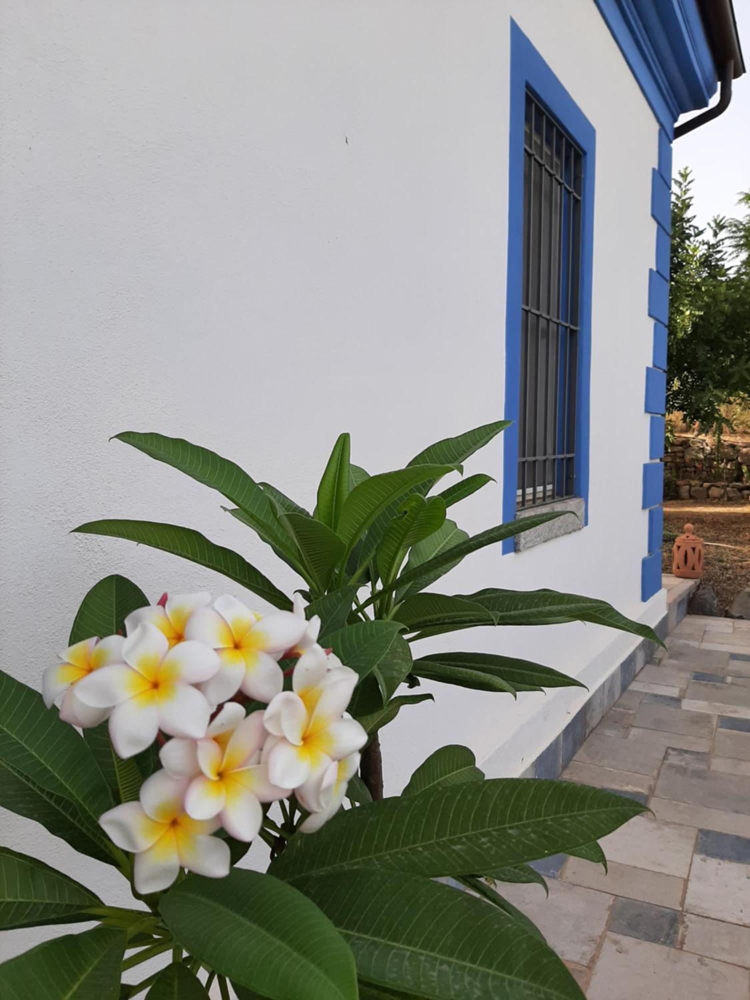 Bed and Breakfast Casale Diletta Castiadas Exterior foto