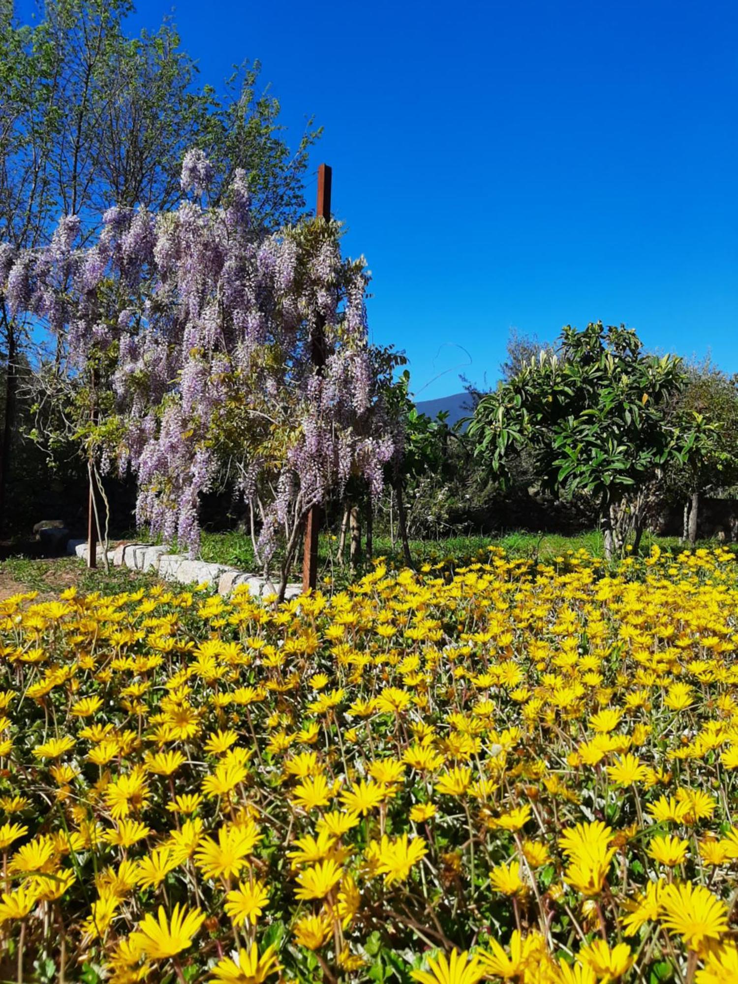 Bed and Breakfast Casale Diletta Castiadas Exterior foto