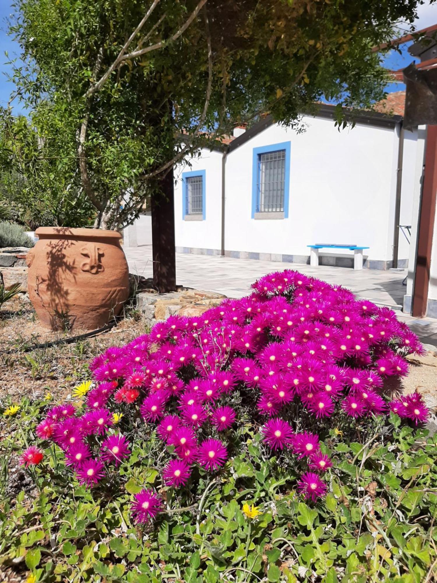 Bed and Breakfast Casale Diletta Castiadas Exterior foto