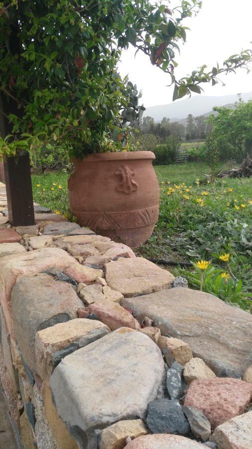 Bed and Breakfast Casale Diletta Castiadas Exterior foto