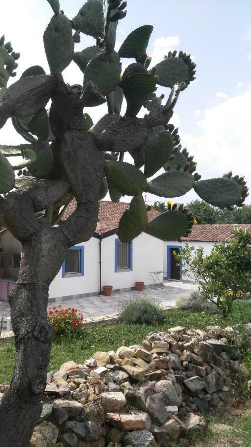 Bed and Breakfast Casale Diletta Castiadas Exterior foto